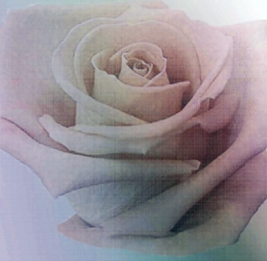 新中式花艺壁纸壁画-ID:465931893