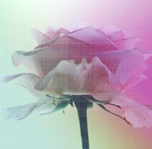新中式花艺壁纸壁画-ID:277920968