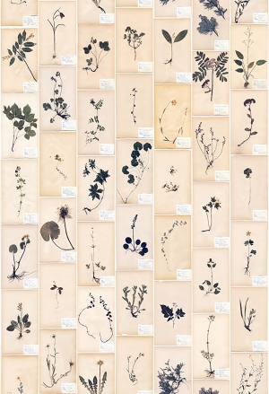 现代壁纸壁画-ID:191071052
