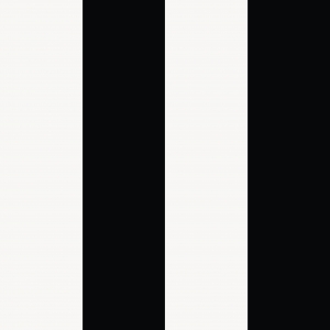 黑白条纹-ID:183197989