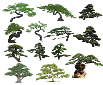 Chinese Style Tree-ID:693758967