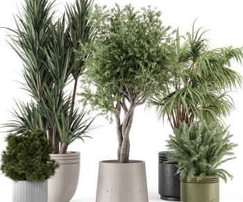 Modern Ground Green Plant Potted Plants-ID:303925992