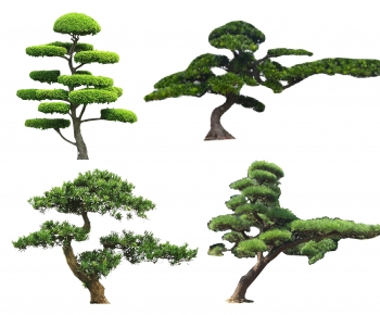 Chinese Style Tree-ID:792002923