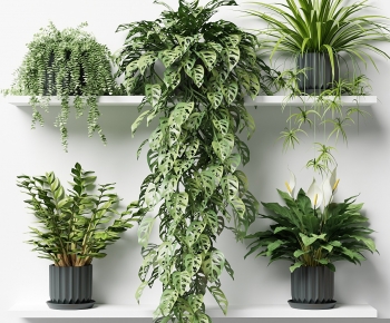现代绿植盆栽 墙面置物架-ID:467350017
