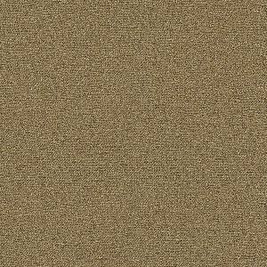 ModernModern Rug