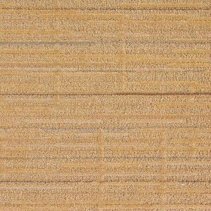 ModernModern Rug