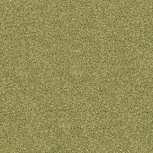 ModernModern Rug