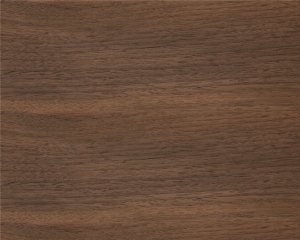 ModernWood Texture