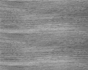 ModernWood Texture