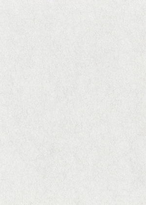 壁纸壁布贴图-ID:126996997