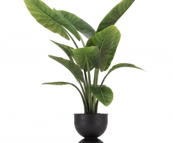 Modern Potted Green Plant-ID:206633094