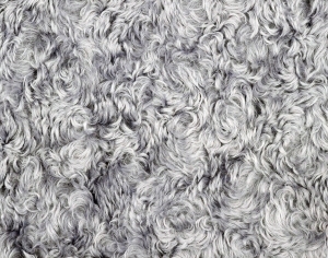 ModernAnimal Carpet