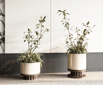 Modern Ground Green Plant Potted Plants-ID:995953087