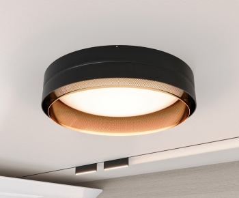 Modern Ceiling Ceiling Lamp-ID:800204049