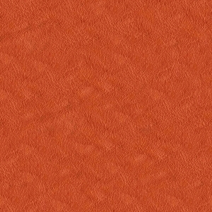 ModernRough Grain Leather