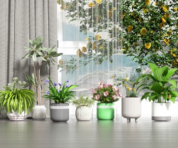 Modern Ground Green Plant Potted Plants-ID:590215921