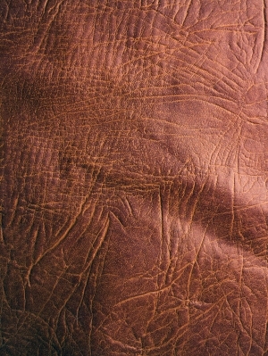 ModernRough Grain Leather