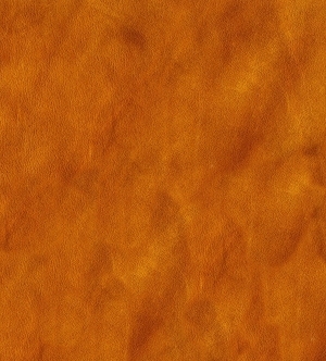 ModernRough Grain Leather