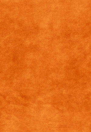 皮革纹理-ID:5848321