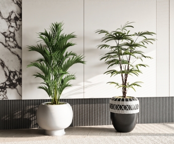 Modern Ground Green Plant Potted Plants-ID:351239928