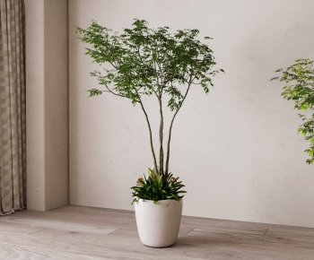 Modern Ground Green Plant Potted Plants-ID:130383014