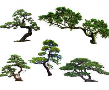 New Chinese Style Chinese Style Tree-ID:590914012