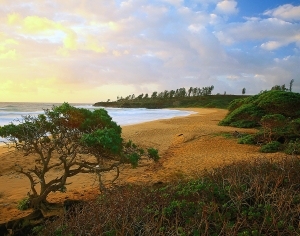 海边风景-ID:5843945