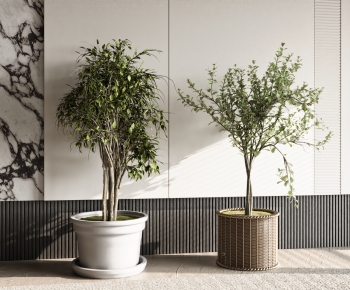 Modern Ground Green Plant Potted Plants-ID:550966027