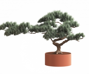 新中式松树盆栽-ID:430954935