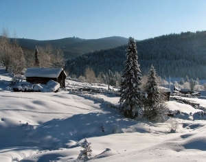 自然风景雪景-ID:5844859