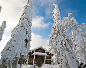 自然风景雪景-ID:5845155