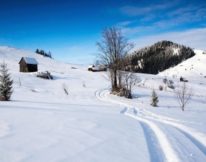 自然风景雪景-ID:5845330