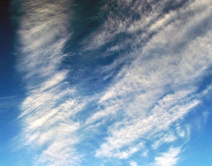 天空-ID:469543939