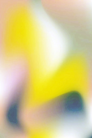 彩色艺术玻璃-ID:424206029