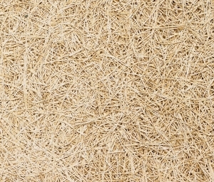 ModernPlywood Texture