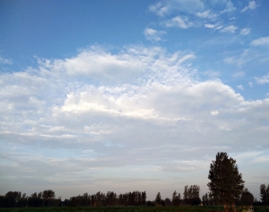 天空-ID:431740051