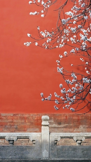 中式花鸟装饰画-ID:5855647