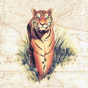 动物虎装饰画-ID:5858710