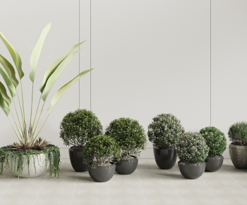 Modern Ground Green Plant Potted Plants-ID:675622943