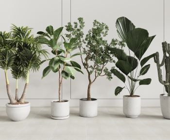 Modern Ground Green Plant Potted Plants-ID:148680252
