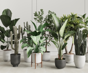 Modern Ground Green Plant Potted Plants-ID:664398916