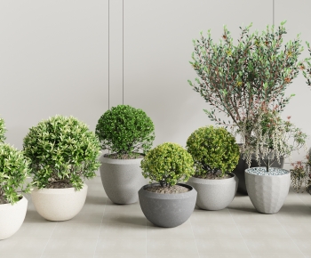 Modern Ground Green Plant Potted Plants-ID:400893931