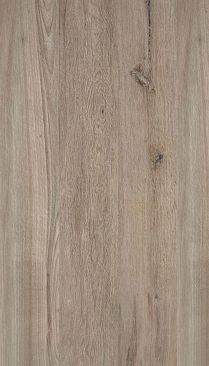 ModernWood Texture