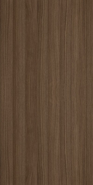 ModernWood Texture