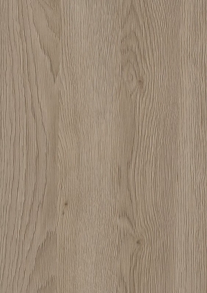 ModernWood Texture