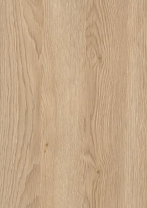 ModernWood Texture