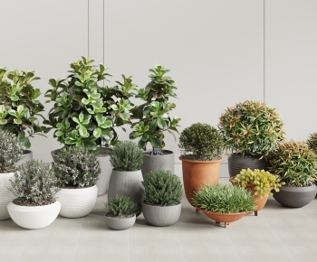 Modern Ground Green Plant Potted Plants-ID:446443084