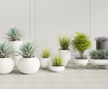 Modern Ground Green Plant Potted Plants-ID:698456055