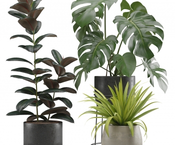 Modern Ground Green Plant Potted Plants-ID:872014052