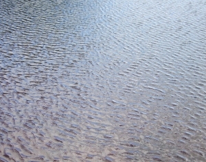 ModernWater Pattern